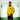 Man wearing the yellow and black Leones Negros COPA track jacket in an industrial setting