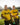 BERCHEM SPORT