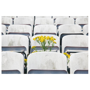 Glory x COPA Dalymount Park T-shirt design close up of the stands with flowers