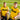 Two models wearing the Berchem Sport 1982 - 83 Retro Football Shirt, standing together outdoors.