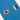 extra detail of casual blue socks football team argentine with number 10