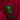 AS Roma inside label on the AS Roma 1987 - 89 Retro Football Windrunner